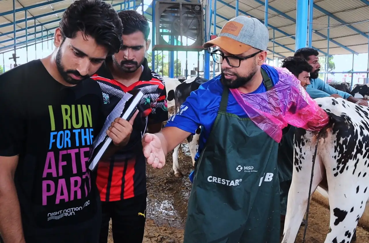 Embryo Transfer and Processing