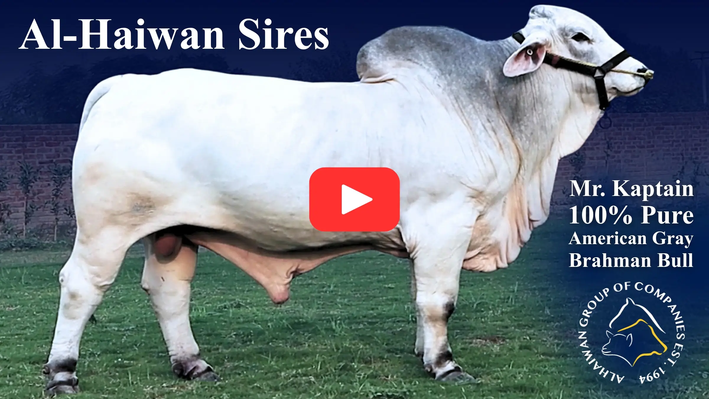 Mr. Kaptain interview video thumbnail